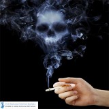 Many Ingredients In Cigarettes Are Harmful